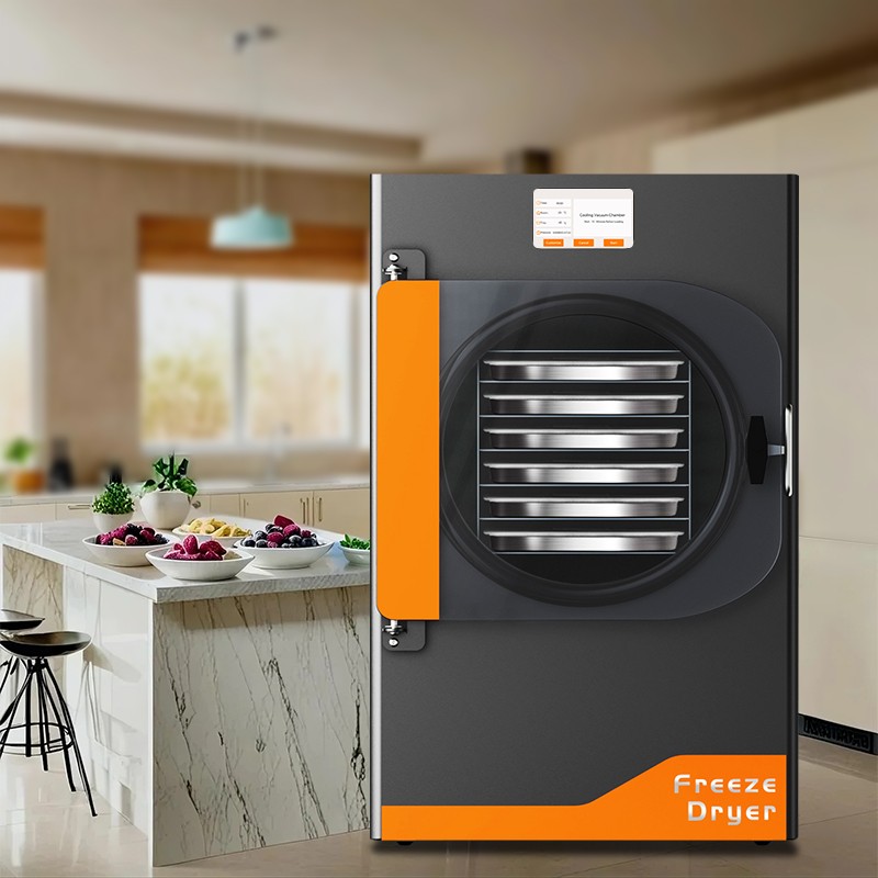 DFD-06 Commercial 6kg/24hour Freeze Dryer Lyophilizer Freeze Dryer Machine for Food